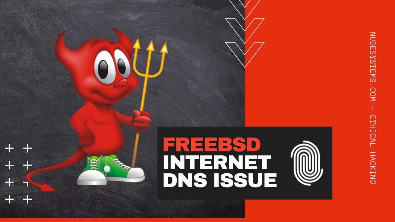 FreeBSD Cannot Connect To The Internet [DNS issue]